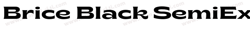 Brice Black SemiExpanded字体转换